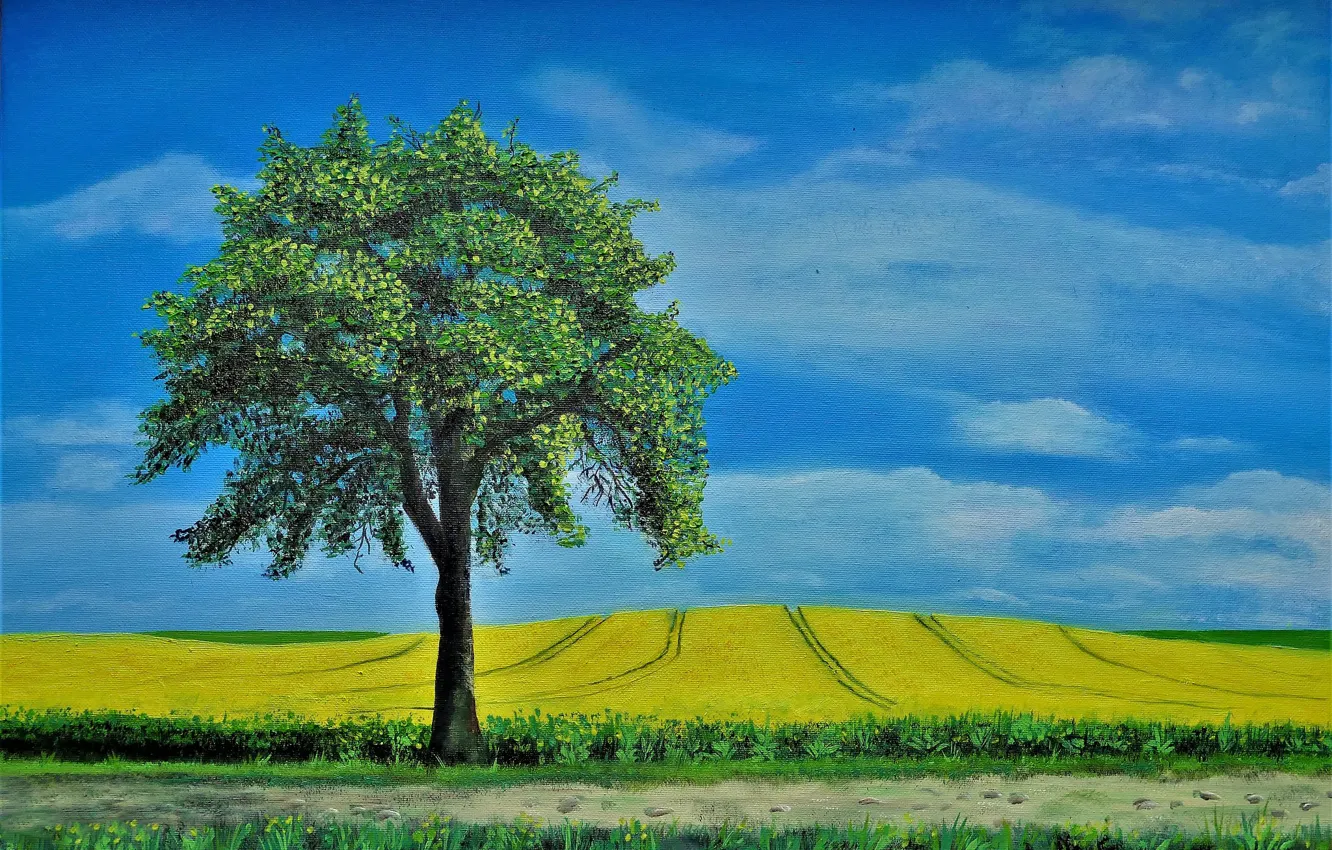 Photo wallpaper field, landscape, tree, picture