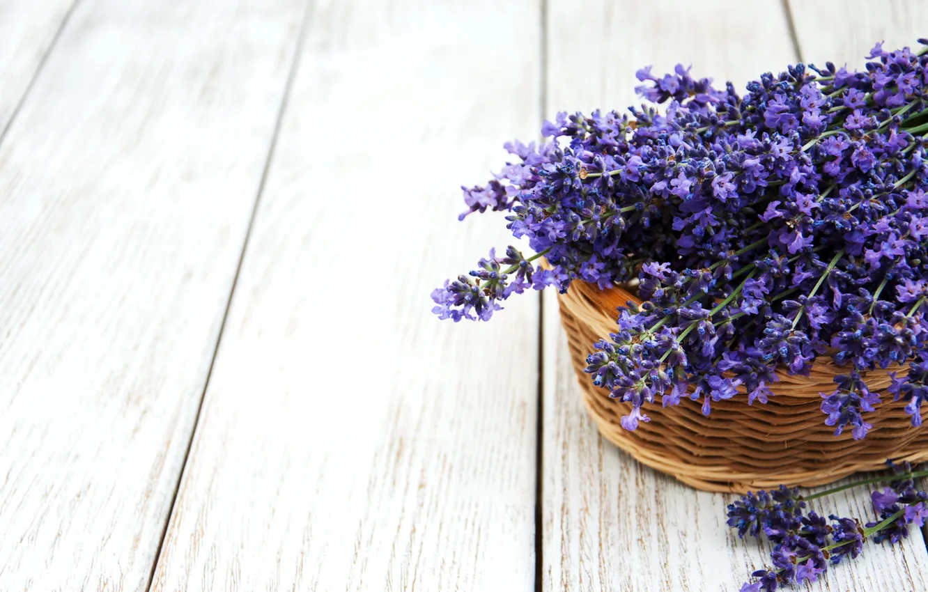 Photo wallpaper flowers, bouquet, basket, lavender, Olena Rudo