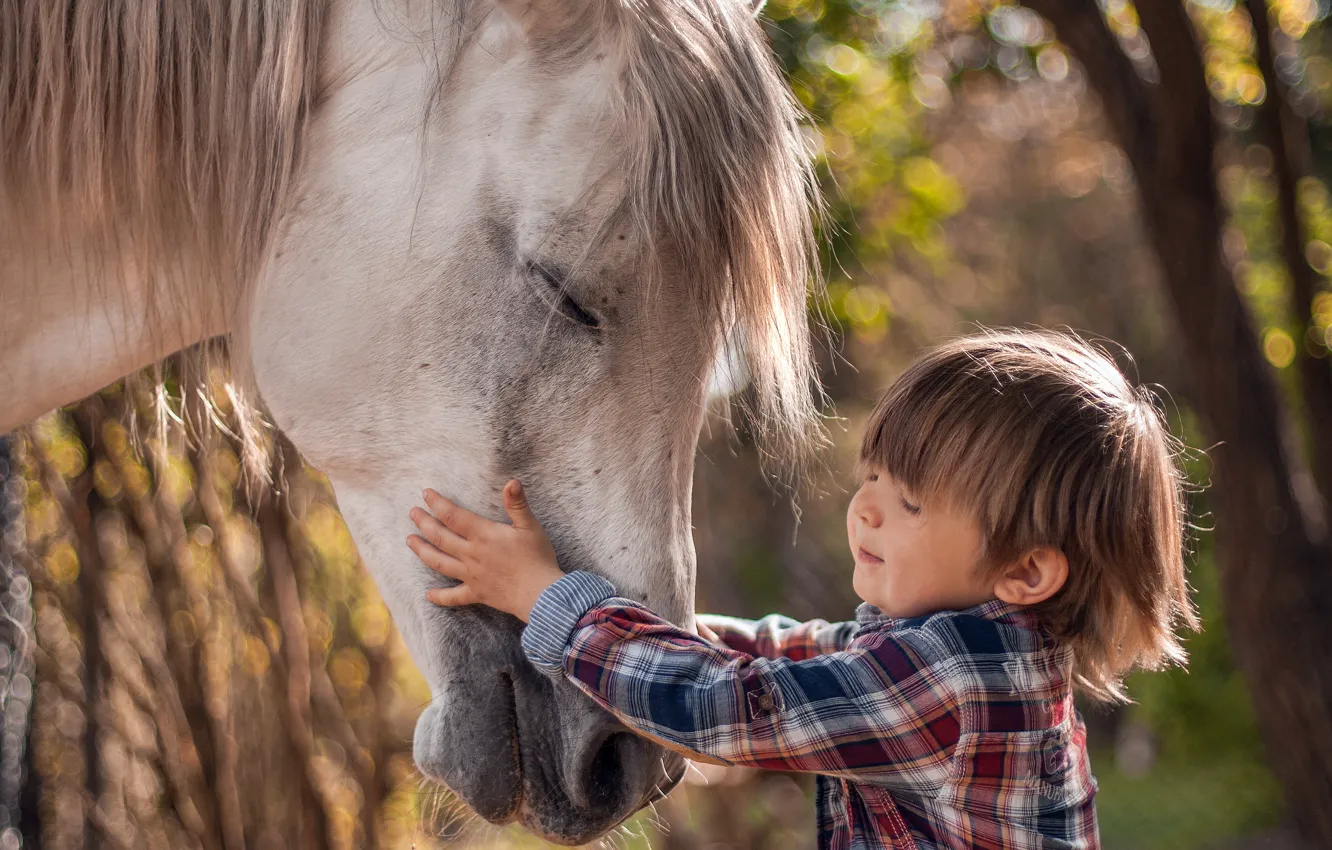 Photo wallpaper mood, horse, boy