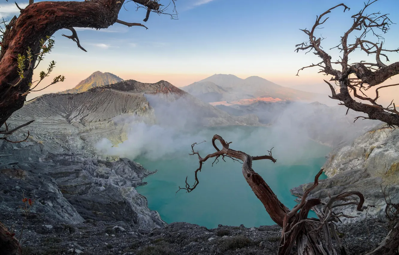 Photo wallpaper the sky, trees, mountains, fog, lake