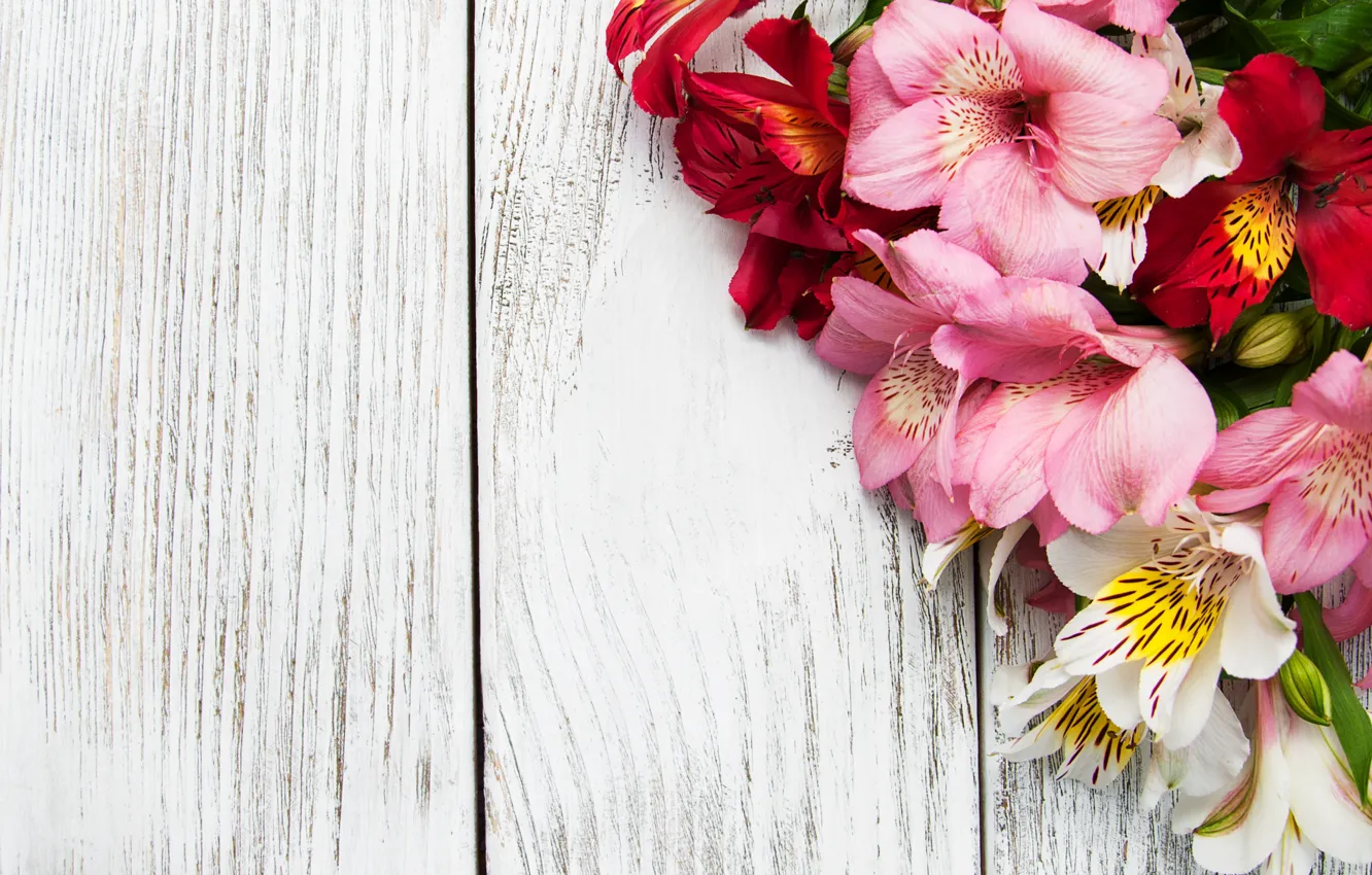 Photo wallpaper flowers, table, bouquet, Alstroemeria, Olena Rudo