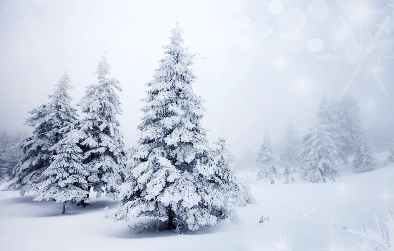 Photo wallpaper winter, snow, trees, landscape, snowflakes, nature, background, tree
