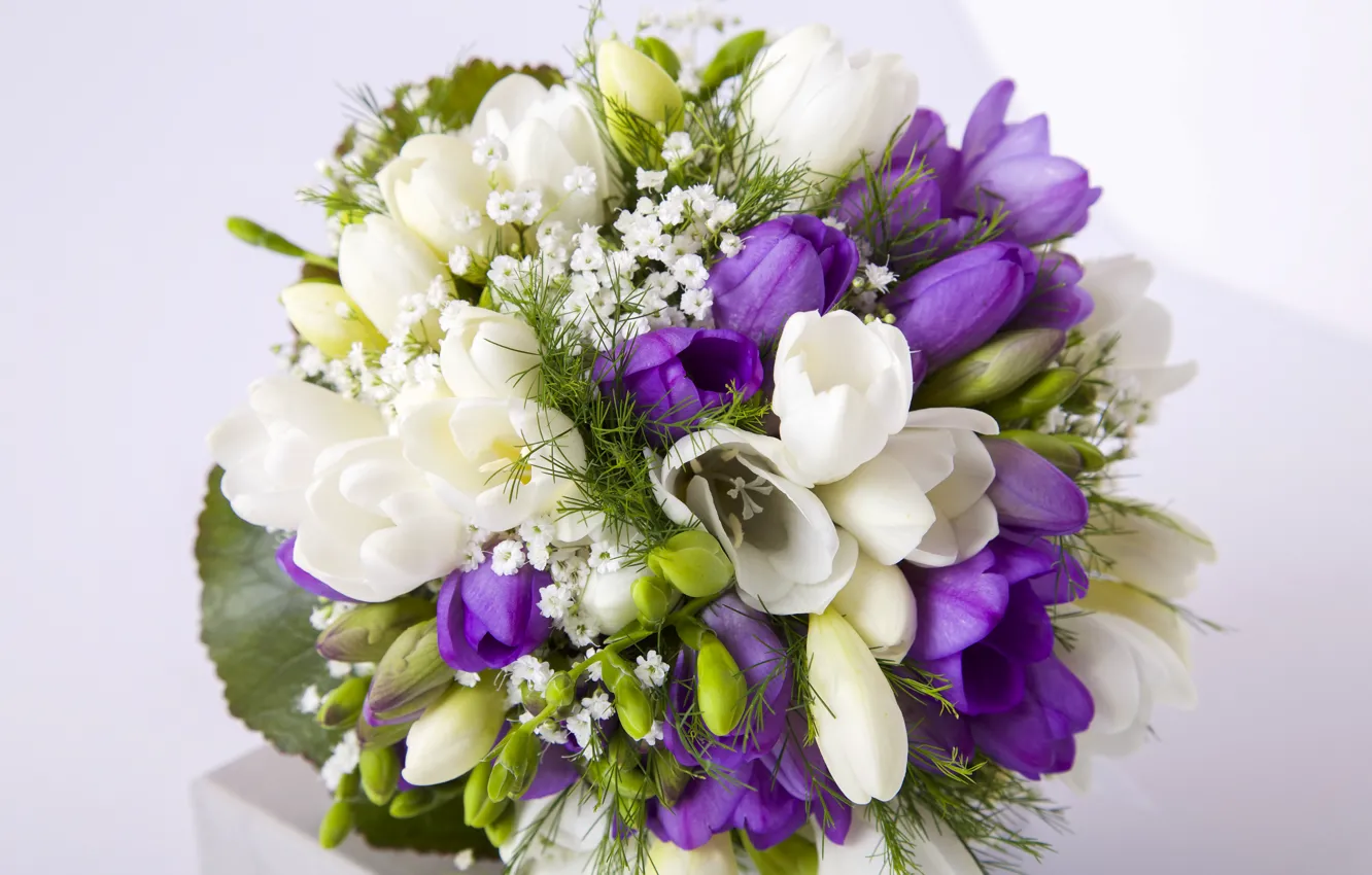 Photo wallpaper white, purple, bouquet, freesia, bouquets, freesia