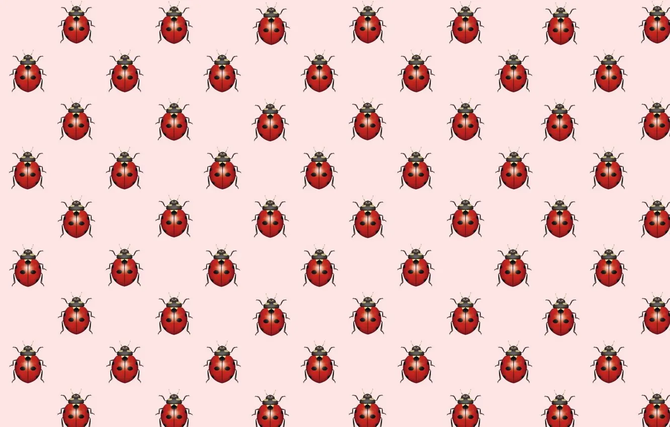 Photo wallpaper background, ladybug, texture, art, bug
