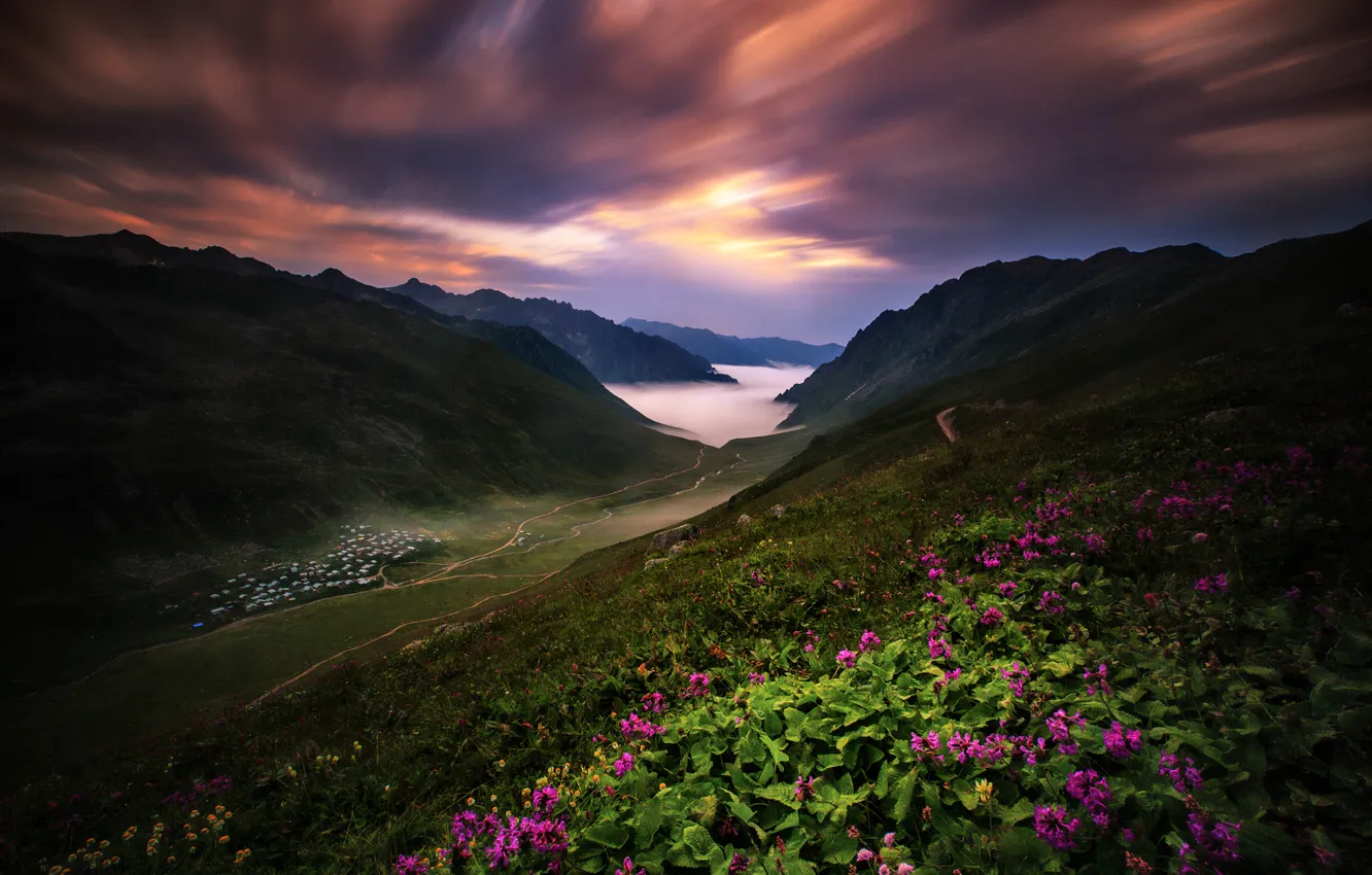 Photo wallpaper flowers, mountains, valley, slope