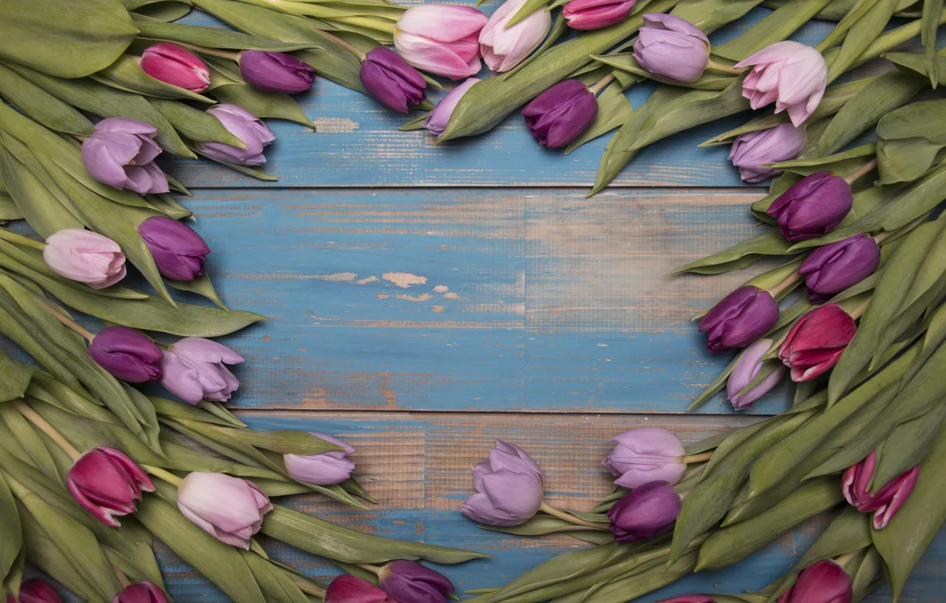 Photo wallpaper flowers, tulips, pink, wood, pink, flowers, tulips, spring