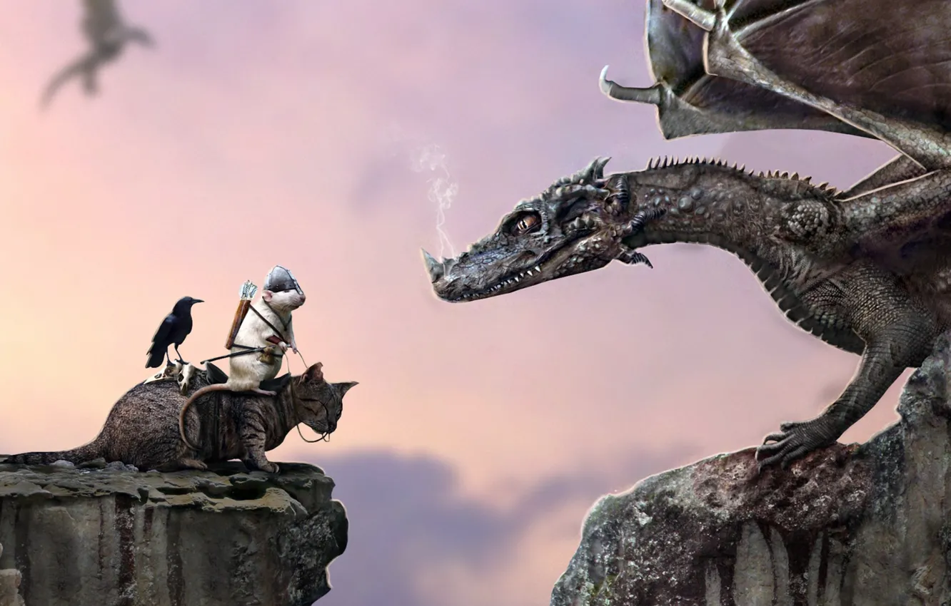 Photo wallpaper cat, open, rocks, dragon, humor, helmet, rider, Raven