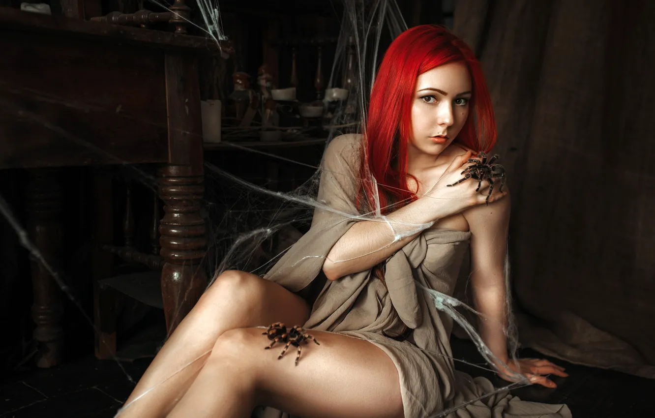 Photo wallpaper look, girl, pose, model, portrait, web, spider, makeup