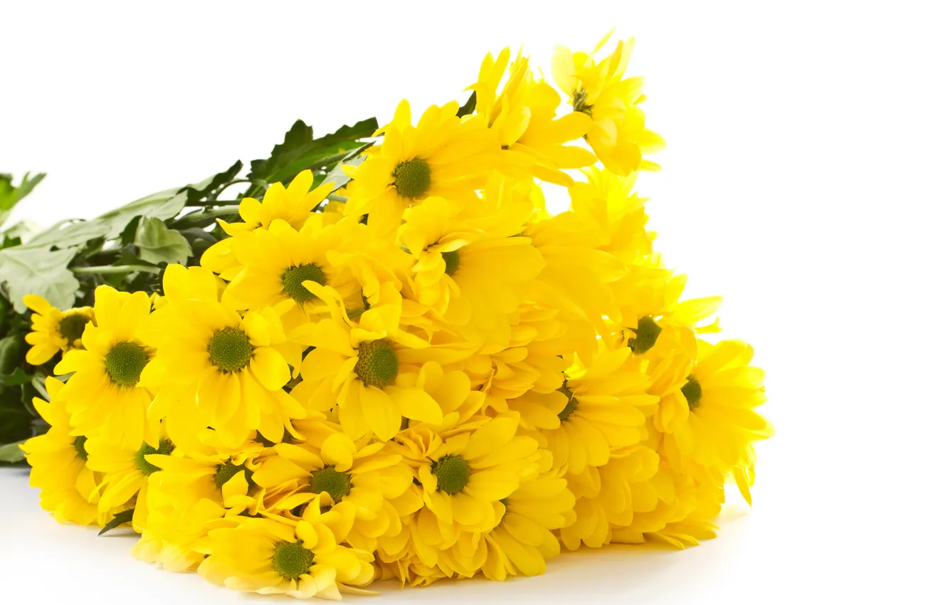 Photo wallpaper flowers, bouquet, yellow, chrysanthemum