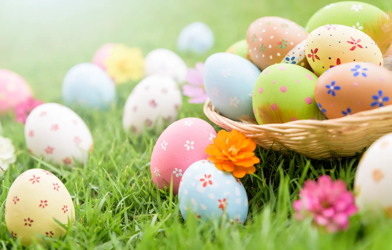 Photo wallpaper grass, flowers, eggs, Easter, spring, Easter, eggs, decoration