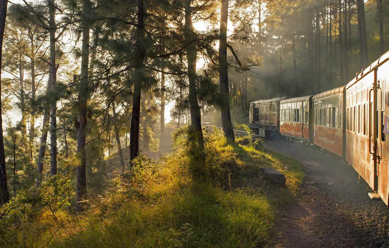 Photo wallpaper train, cars, India, railroad, The Kalka-Shimla