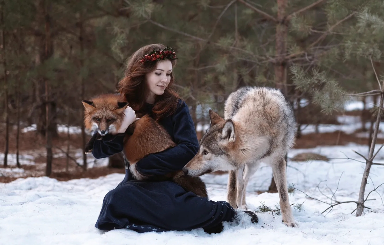 Photo wallpaper girl, wolf, Fox