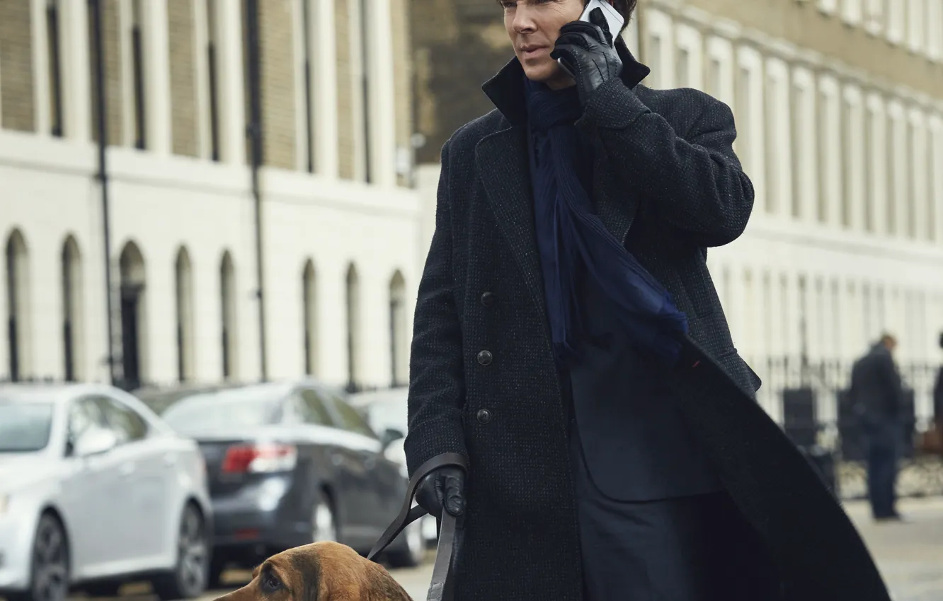 Photo wallpaper background, dog, Sherlock Holmes, smartphone, Benedict Cumberbatch, Benedict Cumberbatch, Sherlock, Sherlock BBC