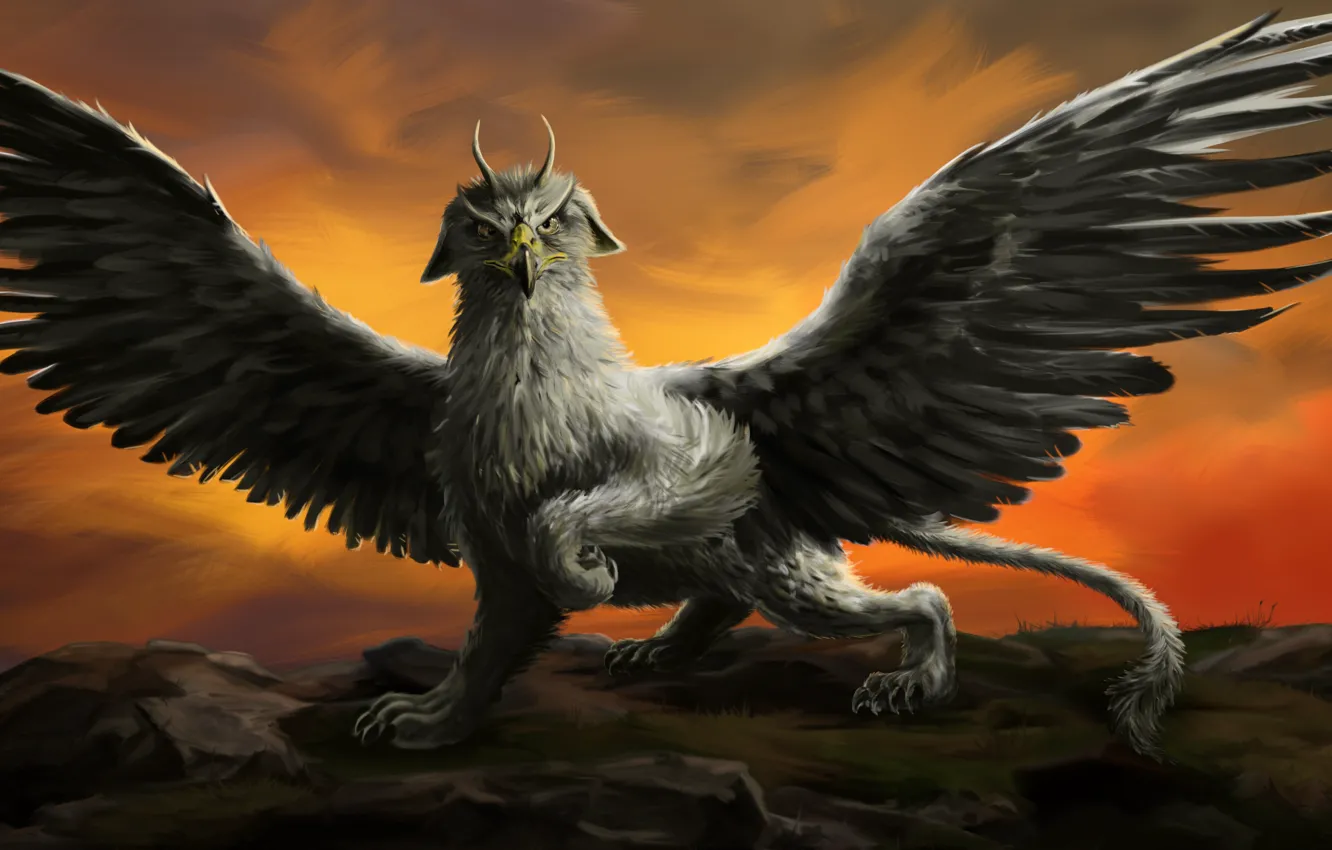 Photo wallpaper Being, Feathers, Wings, Monster, Beast, Tail, Griffin, Mythical