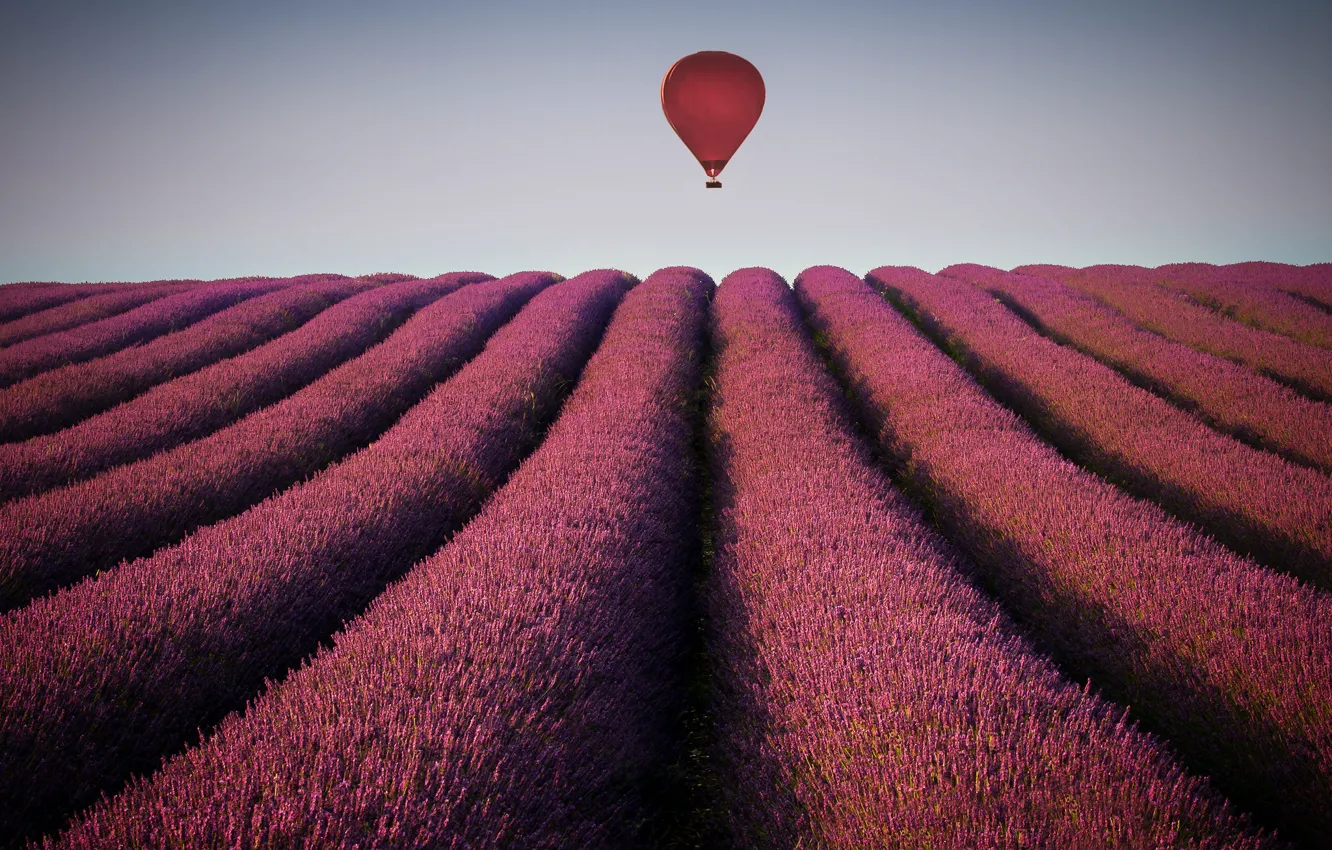 Photo wallpaper field, the sky, balloon, horizon, lavender