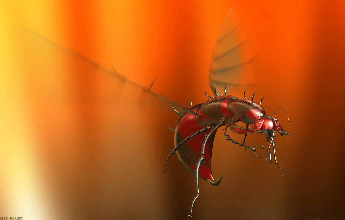 Photo wallpaper beetle, Sabre Hornet, aluminium mosquito