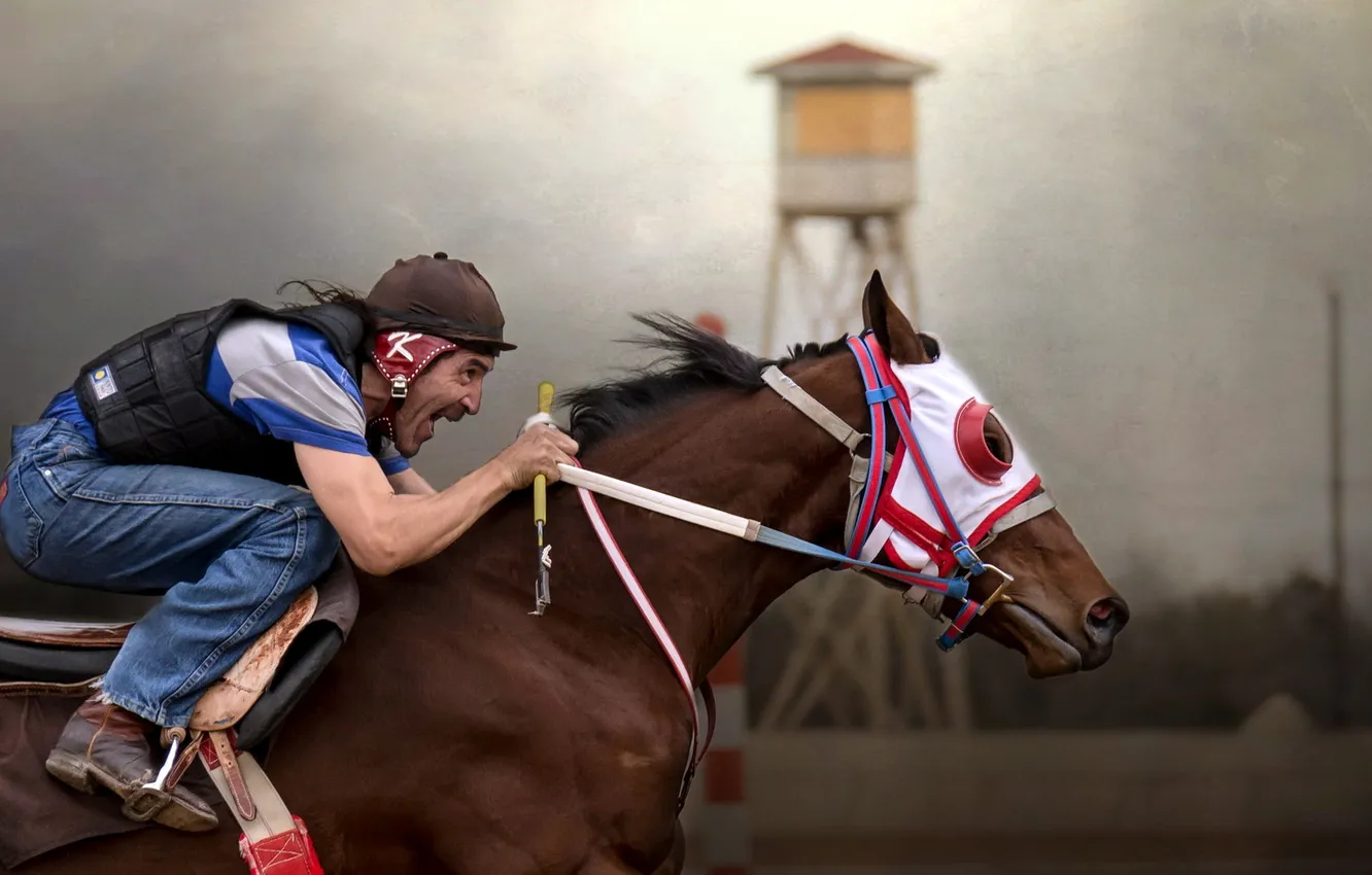 Photo wallpaper horse, sport, rider