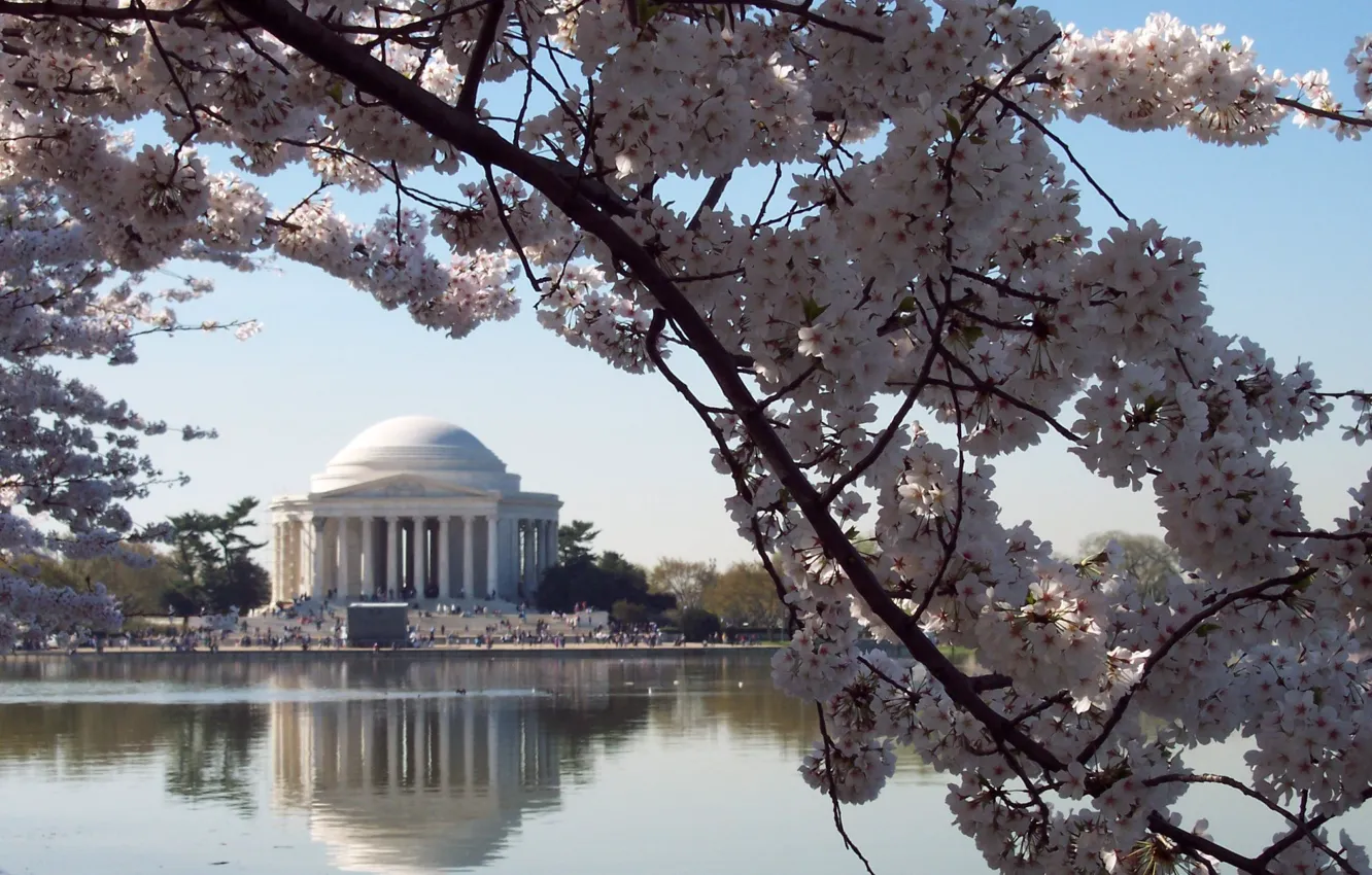 Photo wallpaper flowers, Washington, USA, cherry, USA. Washington DC, Jefferson Memorial