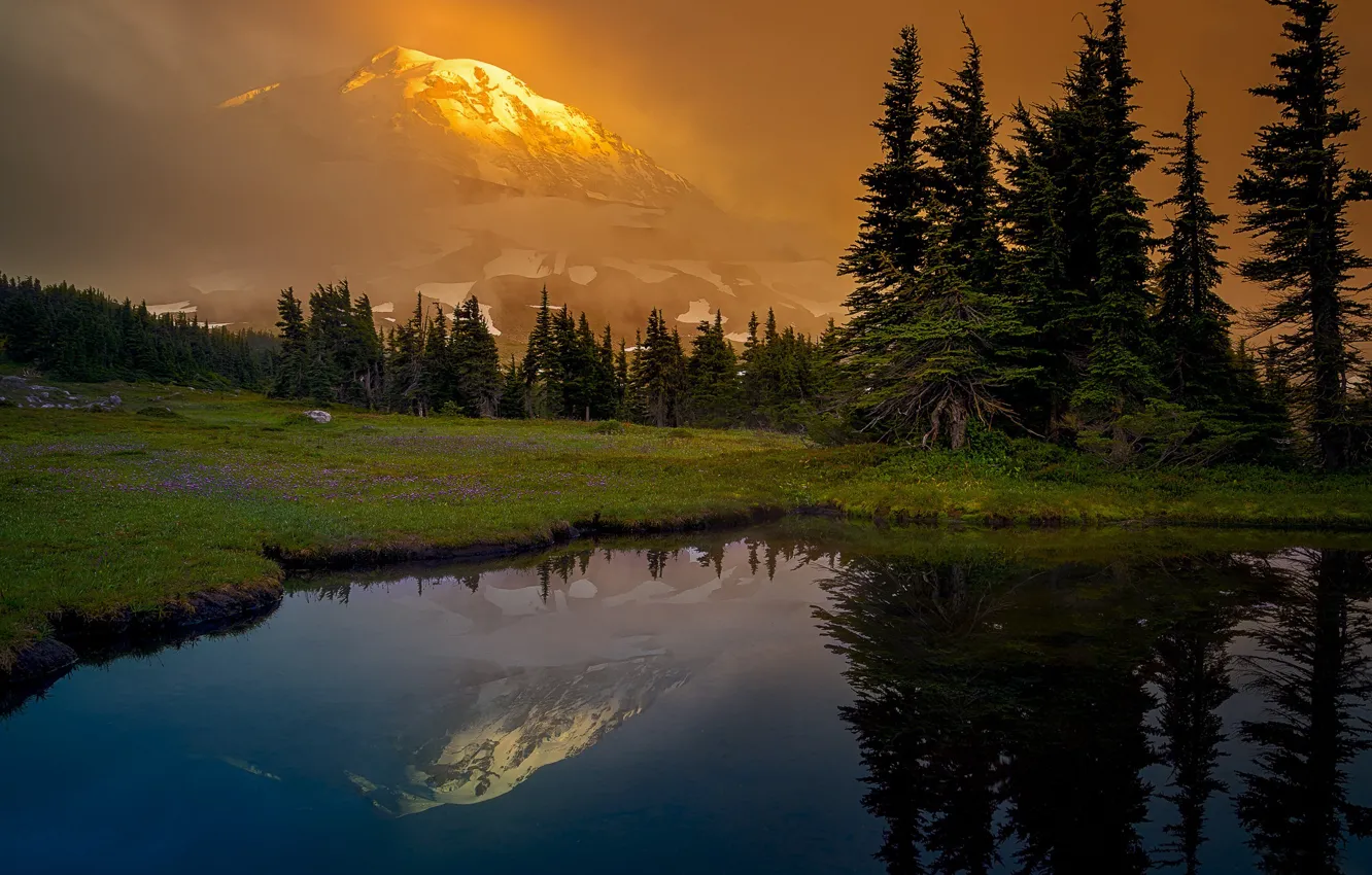 Photo wallpaper forest, mountains, lake, reflection, glade, ate, Washington, Mount Rainier