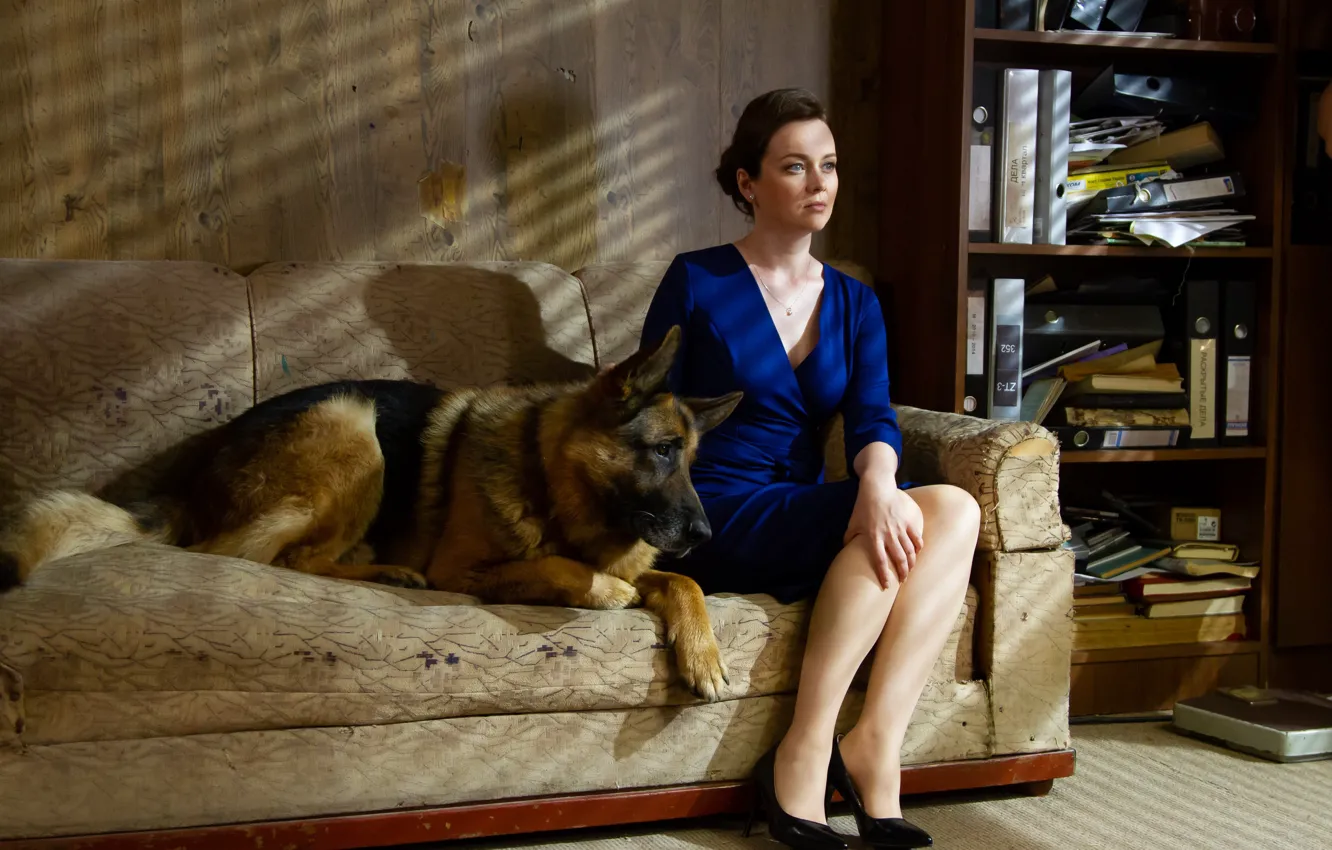 Photo wallpaper pose, sofa, dog, the series, dog, Lena, Olga Oleksiy