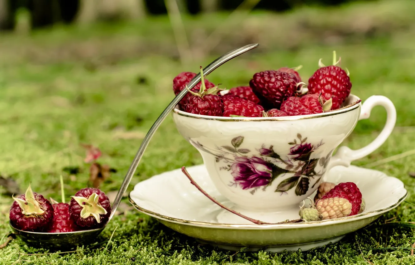 Photo wallpaper grass, berries, raspberry, Cup, saucer, ladle