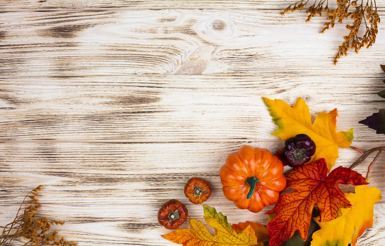 Photo wallpaper autumn, leaves, pumpkin, Autumn