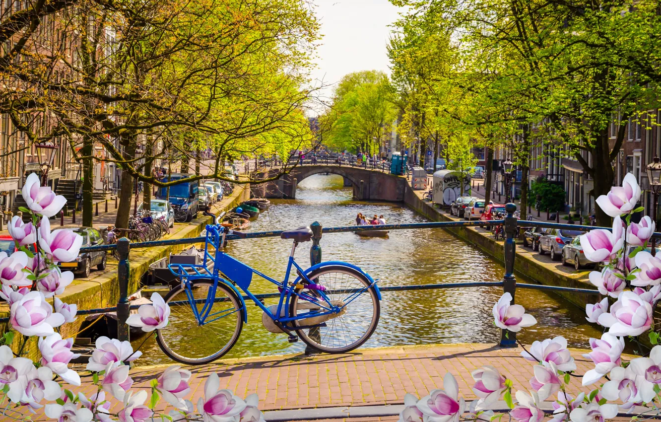 Photo wallpaper bridge, bike, river, spring, Amsterdam, flowering, bridge, blossom