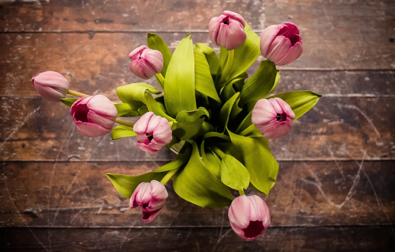 Photo wallpaper bouquet, spring, tulips, wood