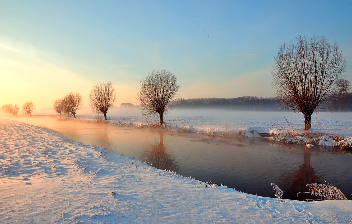 Photo wallpaper winter, light, trees, river, channel, Swan