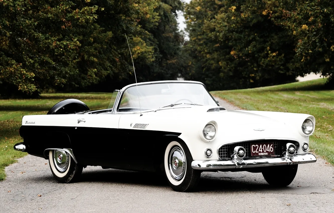 Photo wallpaper trees, Ford, Ford, convertible, alley, 1956, Thunderbird, the front.classic