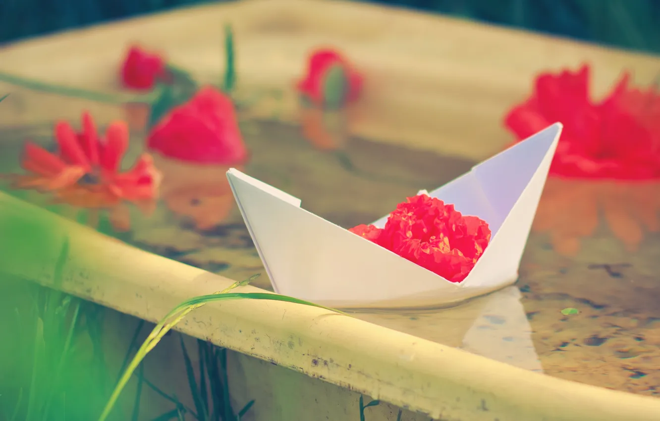 Photo wallpaper flowers, boat, paper, StopScream, MORNING TRAVEL