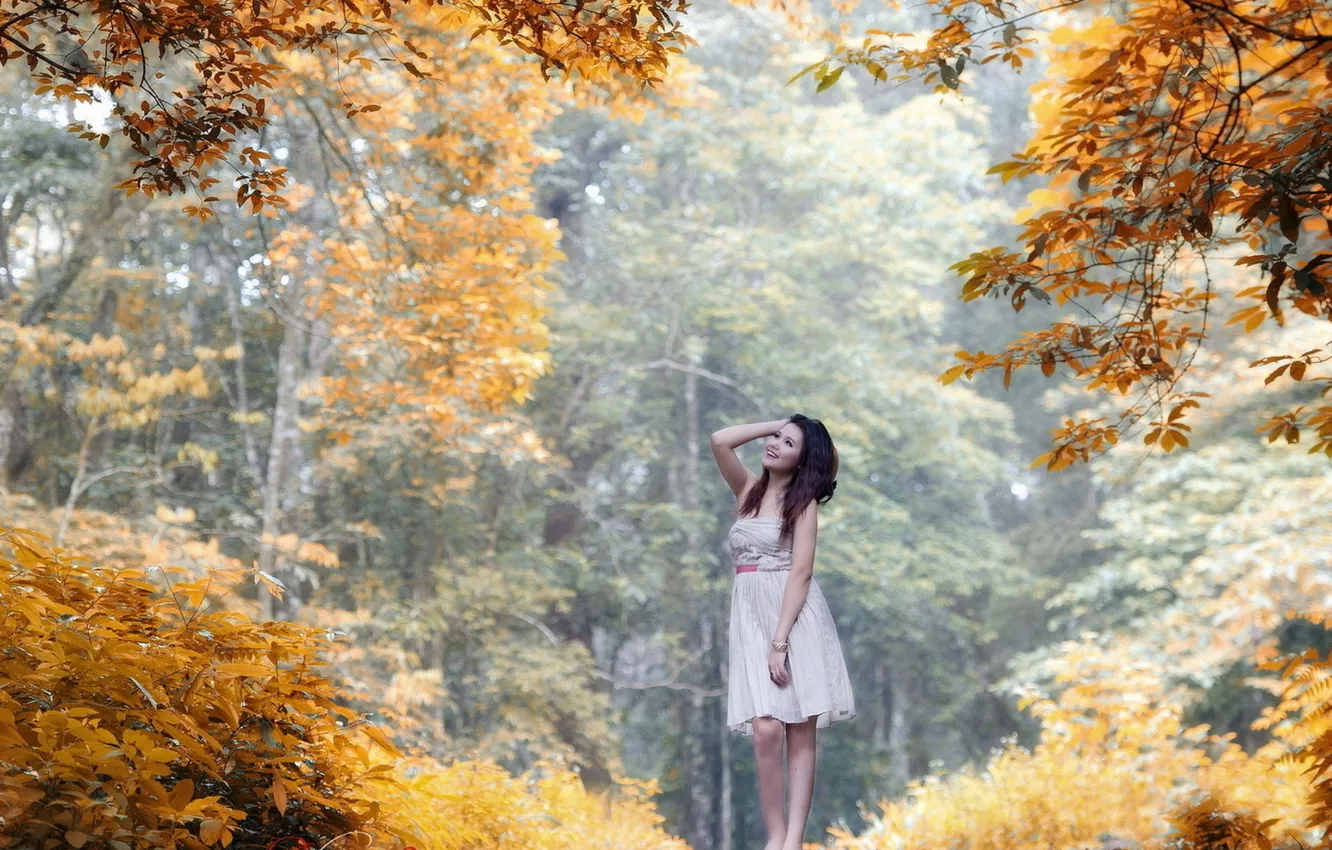 Photo wallpaper autumn, forest, girl, trees, joy, smile, dress