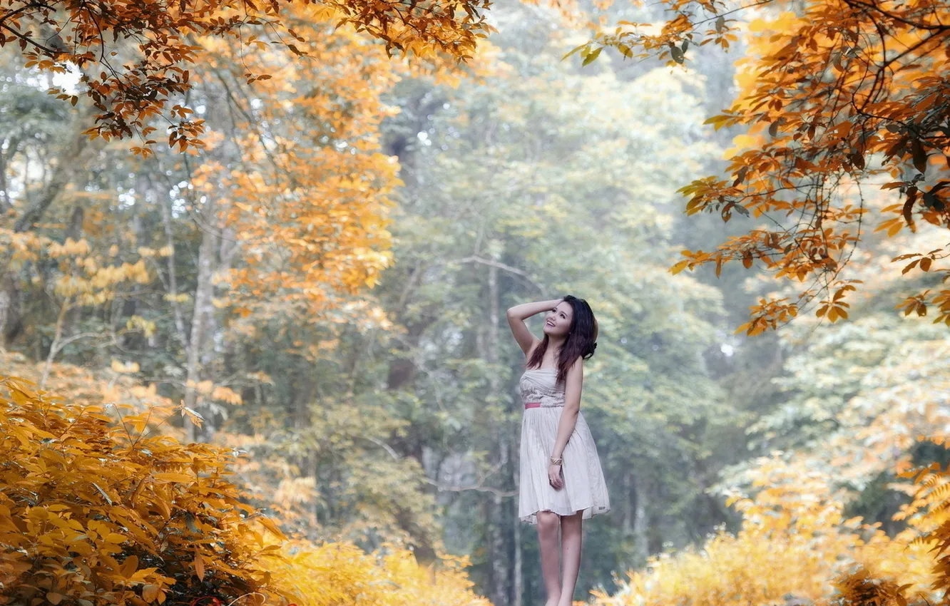 Photo wallpaper forest, girl, trees, joy, smile, Autumn, dress