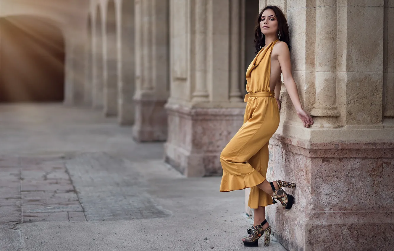 Photo wallpaper girl, pose, model, brunette