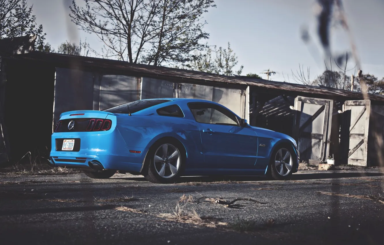 Photo wallpaper Mustang, Ford, Ass, Ford, Muscle, Mustang, Car, Blue