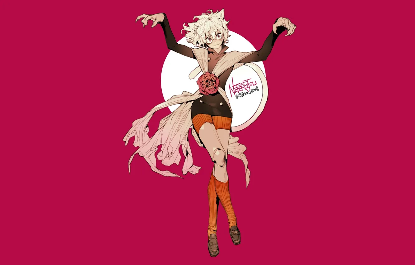 Photo wallpaper Hunter x Hunter, Hunter x Hunter, Nefelpitou