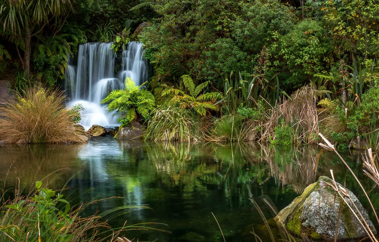 Photo wallpaper greens, forest, trees, stones, waterfall, New Zealand, the bushes