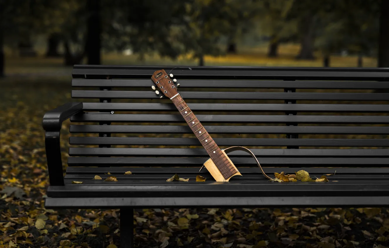 Photo wallpaper autumn, Park, guitar, bench