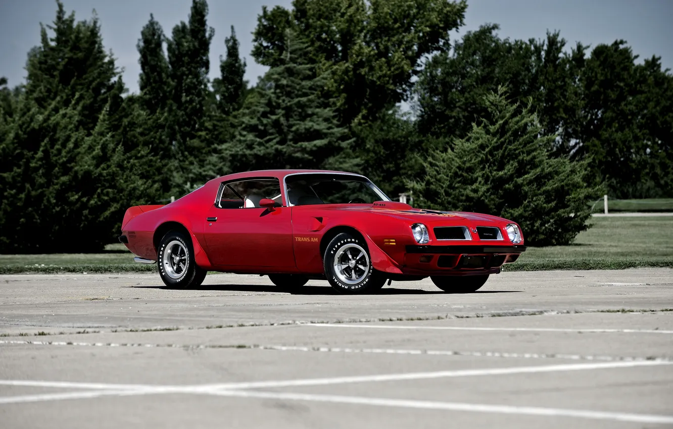Photo wallpaper Pontiac, Pontiac, Firebird, 1974, Firebird.