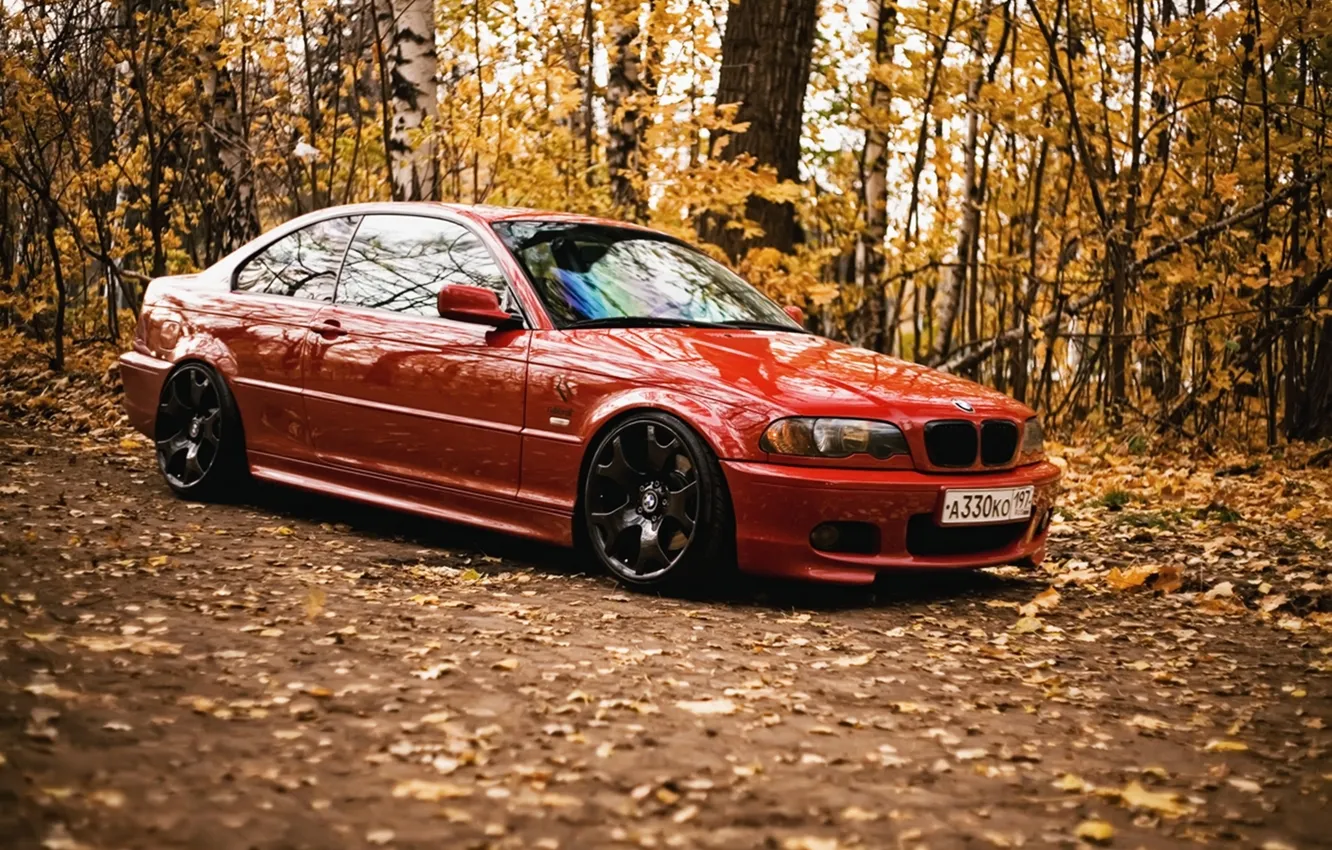 Photo wallpaper autumn, forest, leaves, red, BMW, E46