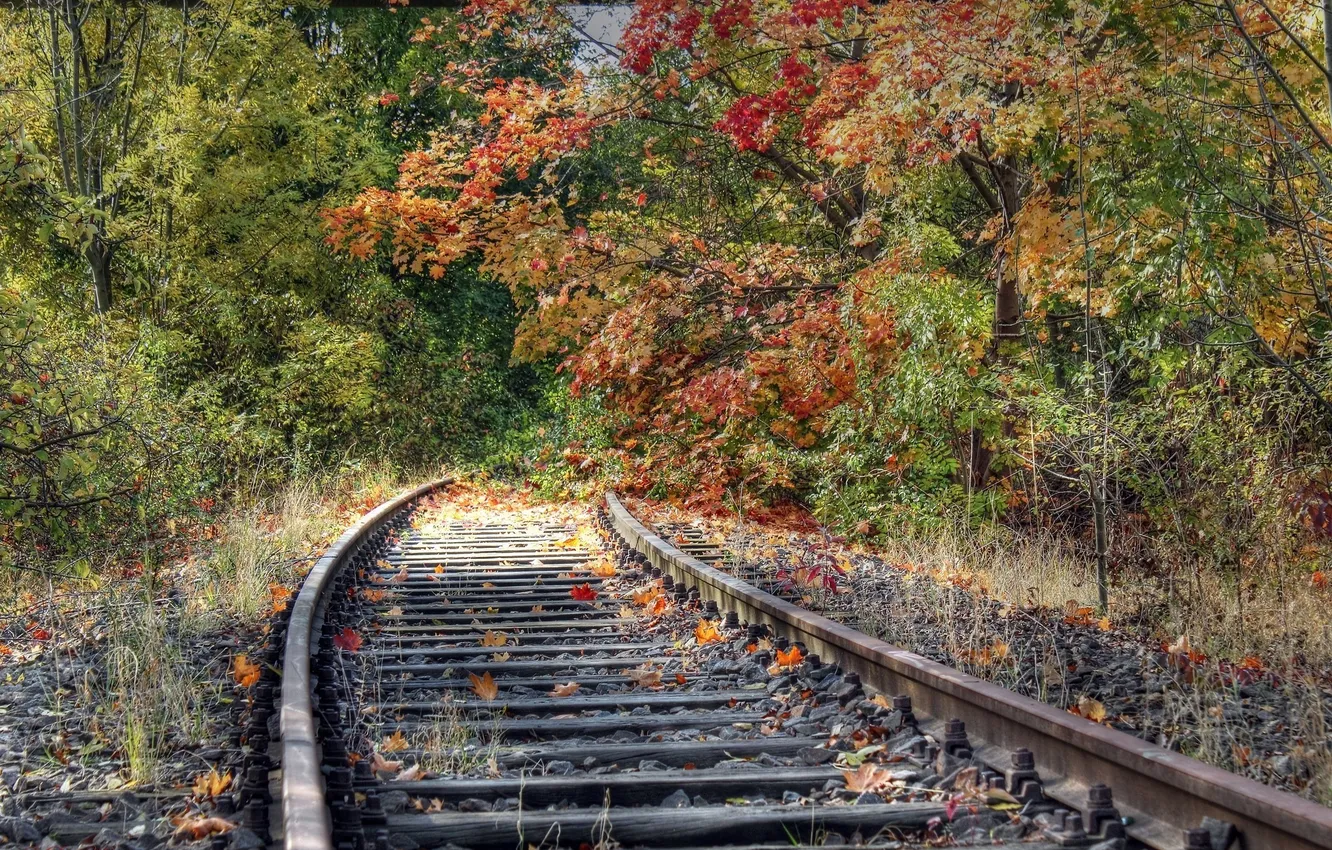 Photo wallpaper road, autumn, leaves, rails, iron