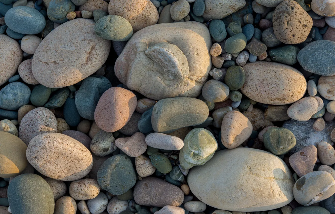 Photo wallpaper sea, beach, the sun, pebbles, stones