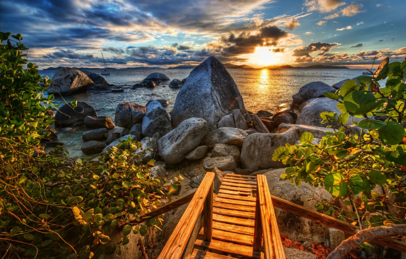 Photo wallpaper sea, sunset, stones, coast, the bushes