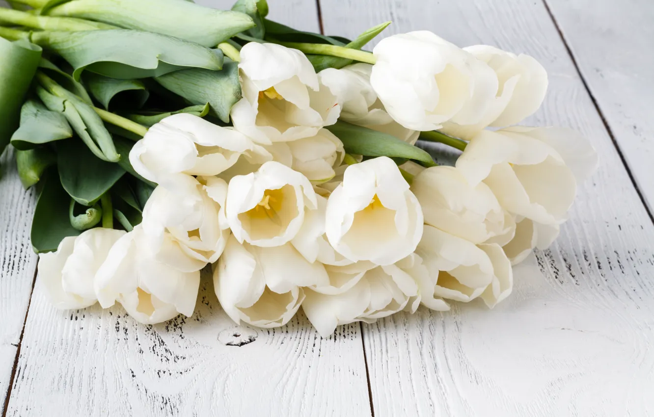 Photo wallpaper table, bouquet, tulips, gentle, white, Olena Rudo