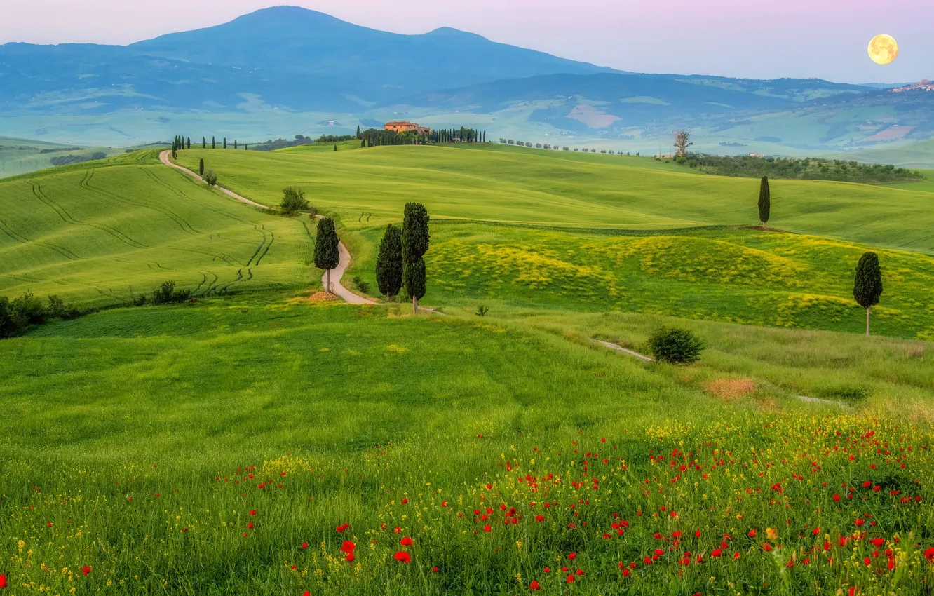 Photo wallpaper field, mountains, Maki, Italy, Tuscany