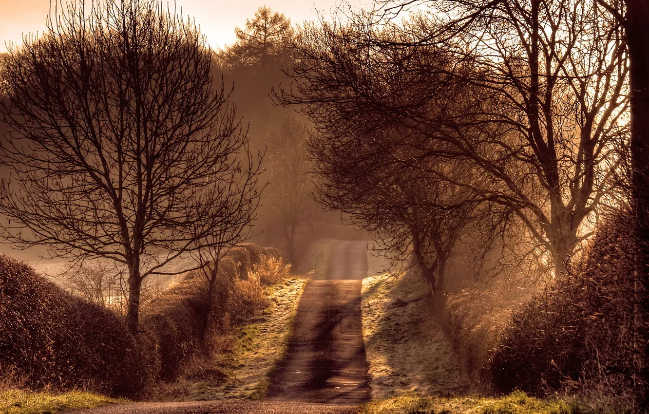 Photo wallpaper road, light, morning