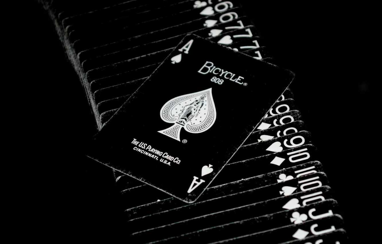 Photo wallpaper map, ACE, bicycle, Jack