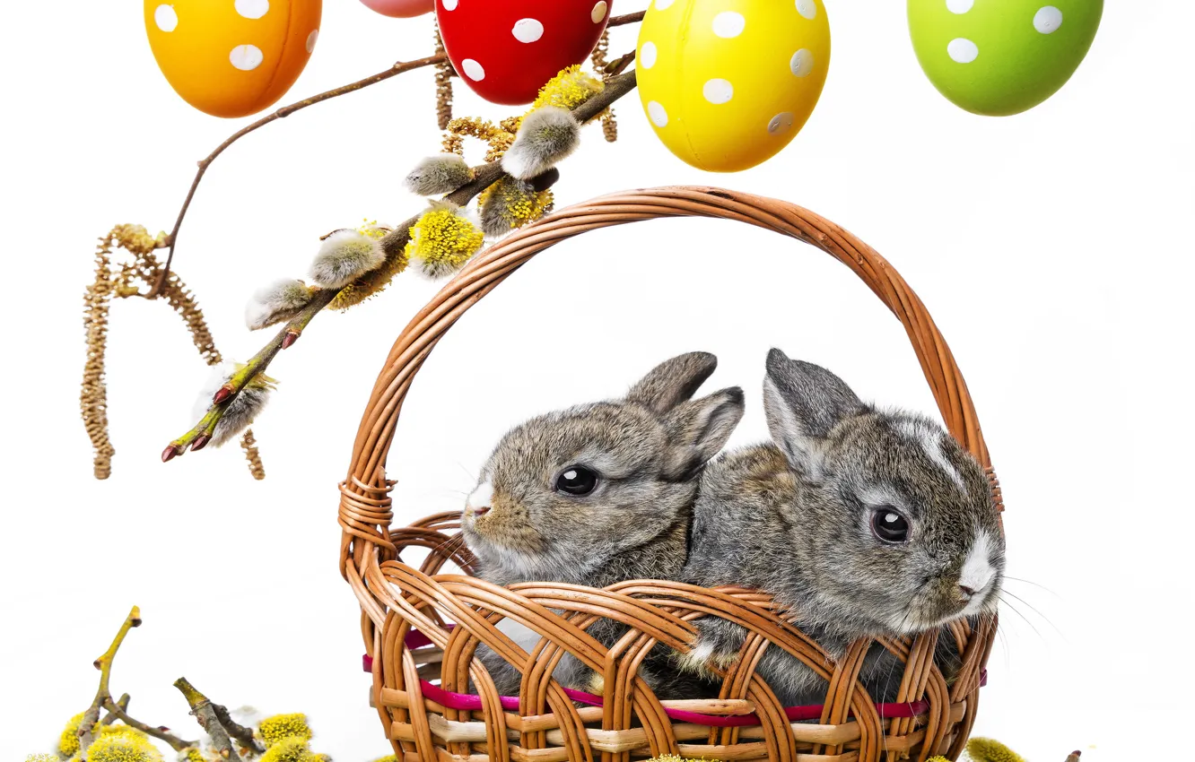 Photo wallpaper flowers, branches, basket, spring, colorful, Easter, rabbits, Verba