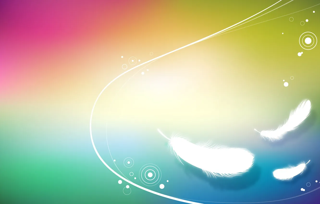 Photo wallpaper background, color, range, minimalism, vector, feathers
