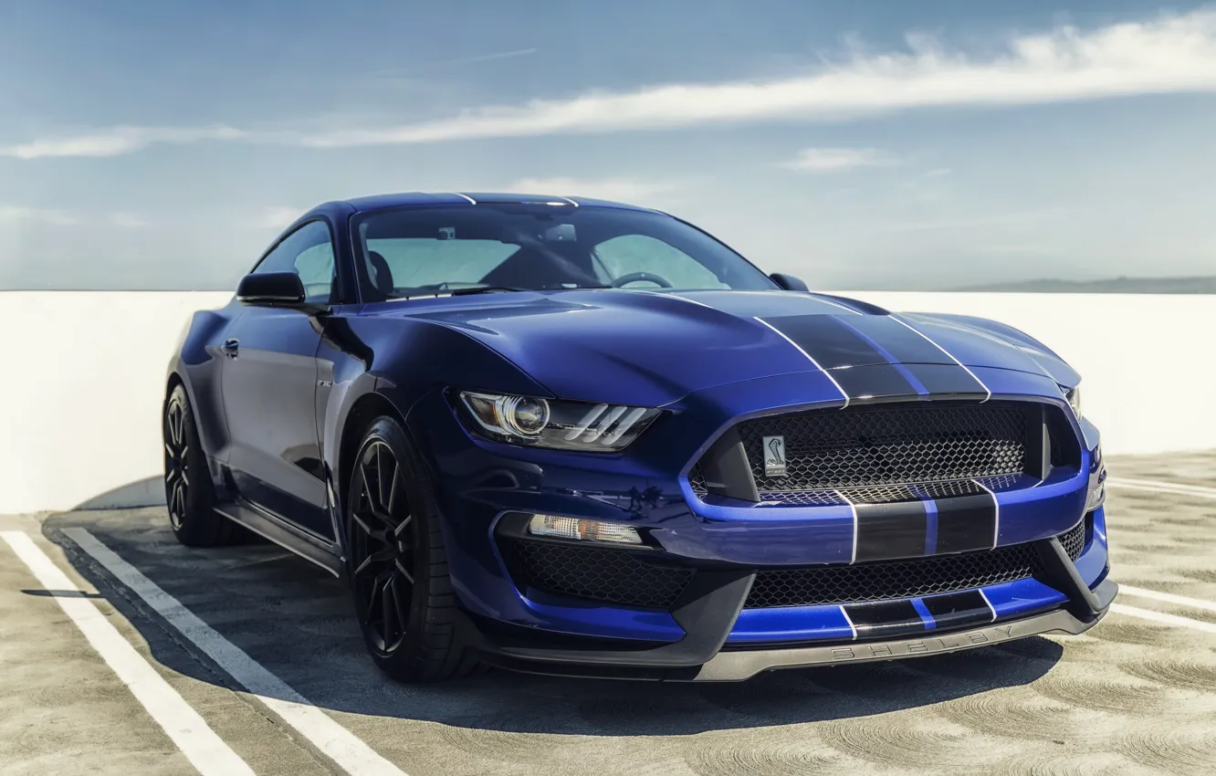 Photo wallpaper mustang, ford, shelby, gt350